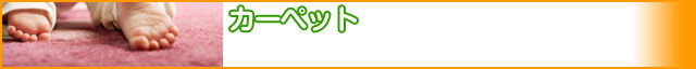 リフォーム　カーペット